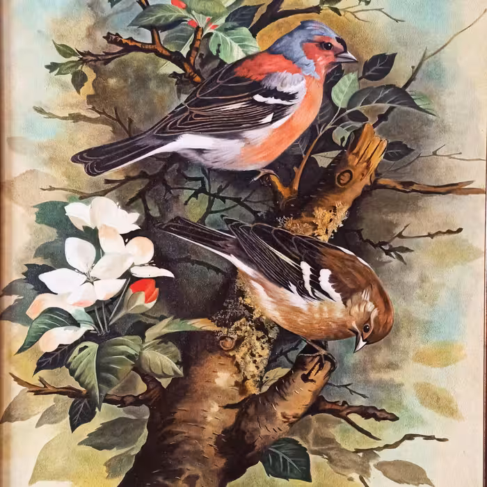 تابلو نقاشی رنگ روغن مدل پرندگان بهاری