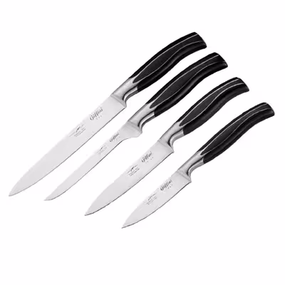 چاقو آشپزخانه جی فی نی کد G04 مجموعه 4 عددی