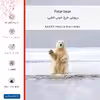 برچسب پوششی ماهوت مدل Polar_bear مناسب برای گوشی موبایل موتورولا Edge 30