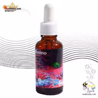 مکمل آمینو اسید 30 میل پارس سی