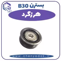 هرزگرد بسترن B30