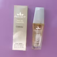 عطر جیبی مردانه 20 میل پرفکت مدل گابرینی