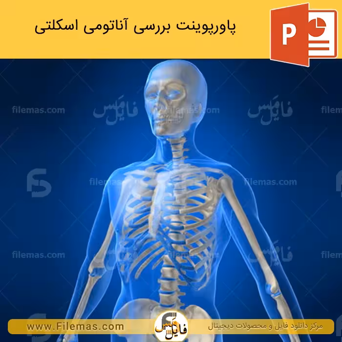 پاورپوینت آناتومی اسکلتی