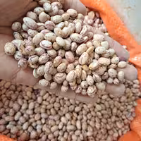 لوبیا چیتی ممتاز (2000گرمی)