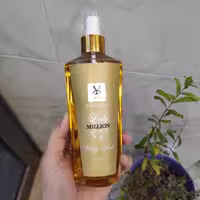 بادی اسپلش زنانه شمیاس مدل لیدی میلیون | Paco Rabanne Lady Million حجم 250 میلی