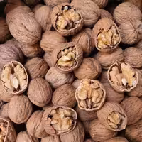 گردو فوق العاده با قیمت خیلی خوب 