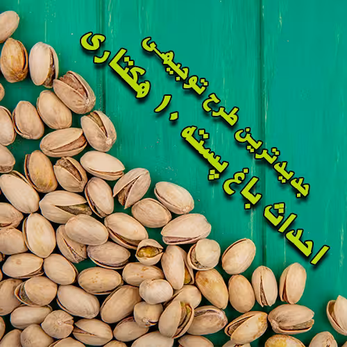 خرید و دانلود طرح توجیهی احداث باغ پسته 10 هکتاری