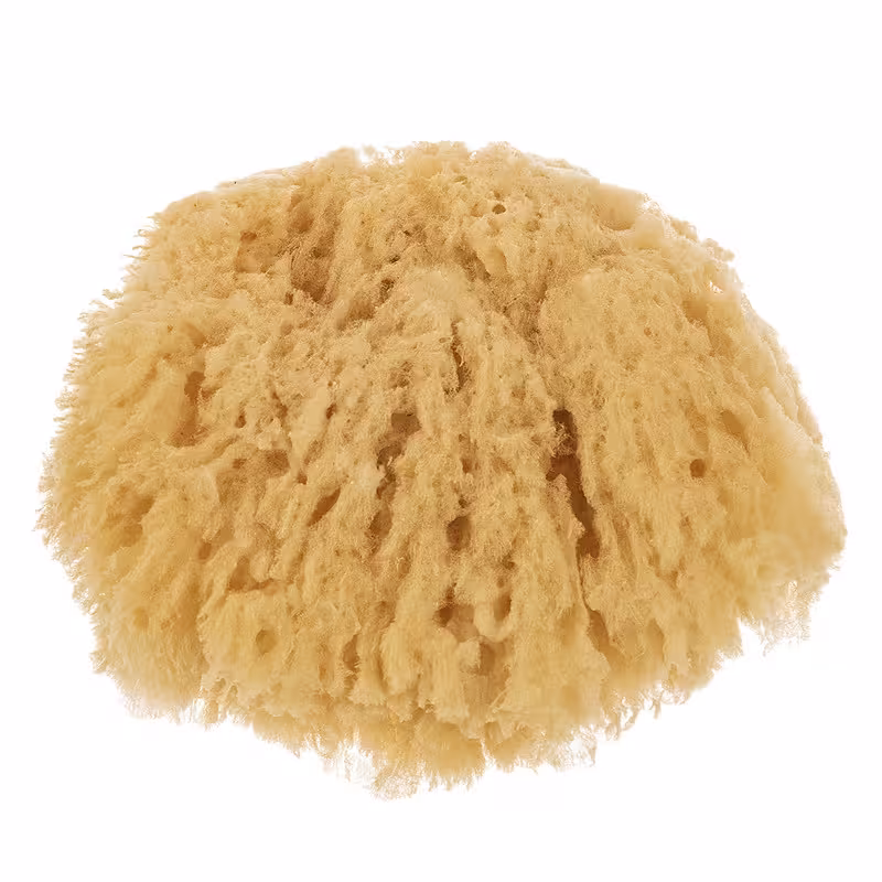 اسفنج شست و شوی بدن سوآوی پیل سری Natural مدل Sea | کالا مکس