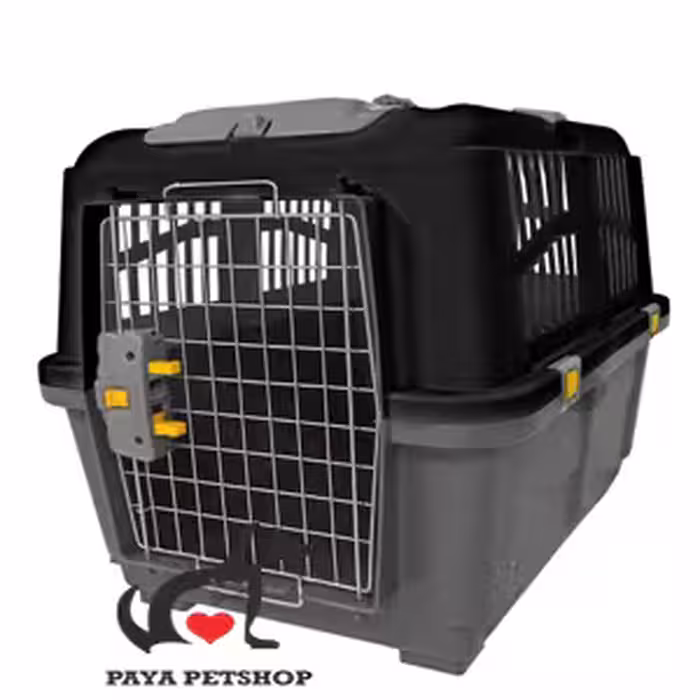 باکس حیوانات سایز بزرگ در رنگ مختلف