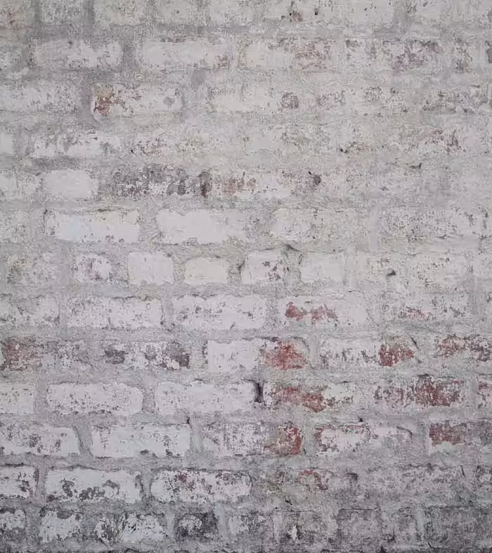 بک دراپ چاپی کد 502 (در 4 سایز)