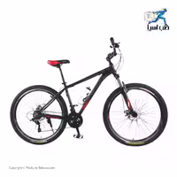 دوچرخه کوهستان الکس اکسل سایز 29