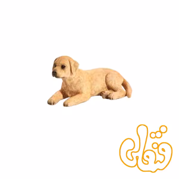 توله سگ لابرادور Labrador Puppy 387272