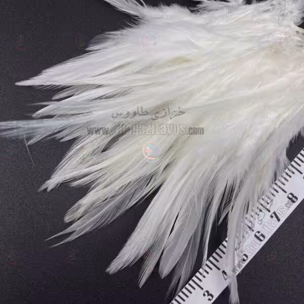 پر خروسی بسته 3 گرمی ( سفید )
