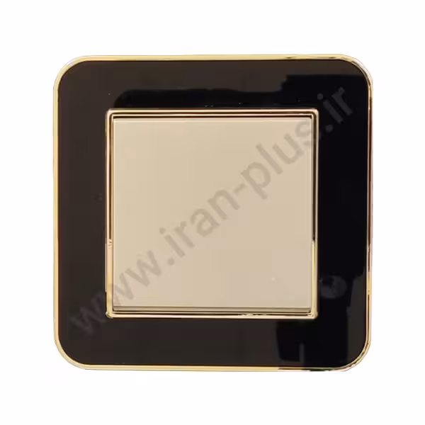 کلید تبدیل مدل ارس مشکی طلایی میانی بژ