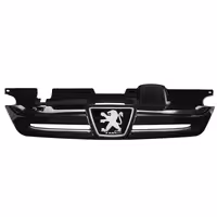 جلو پنجره ای پارس مشکی رادیکال با آرم