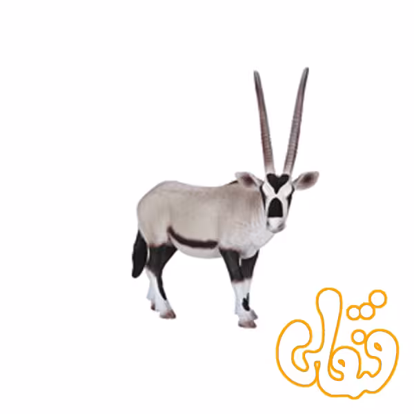 غزال بزرگ آفریقا Oryx 387242