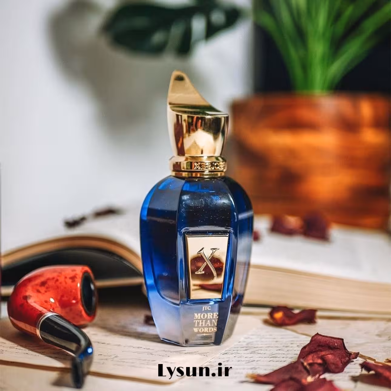 مور دن وردس زرجف کد 801