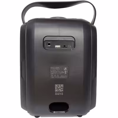 اسپیکر بلوتوثی دبلیو-کینگ مدل T9S