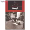 کتاب گرسنه اثر کنوت هامسون نشر نگاه