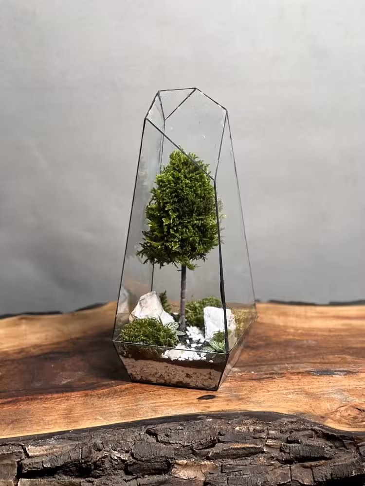 خرید وابی کوزا طرح طبیعت 35 Cm (تراریوم)