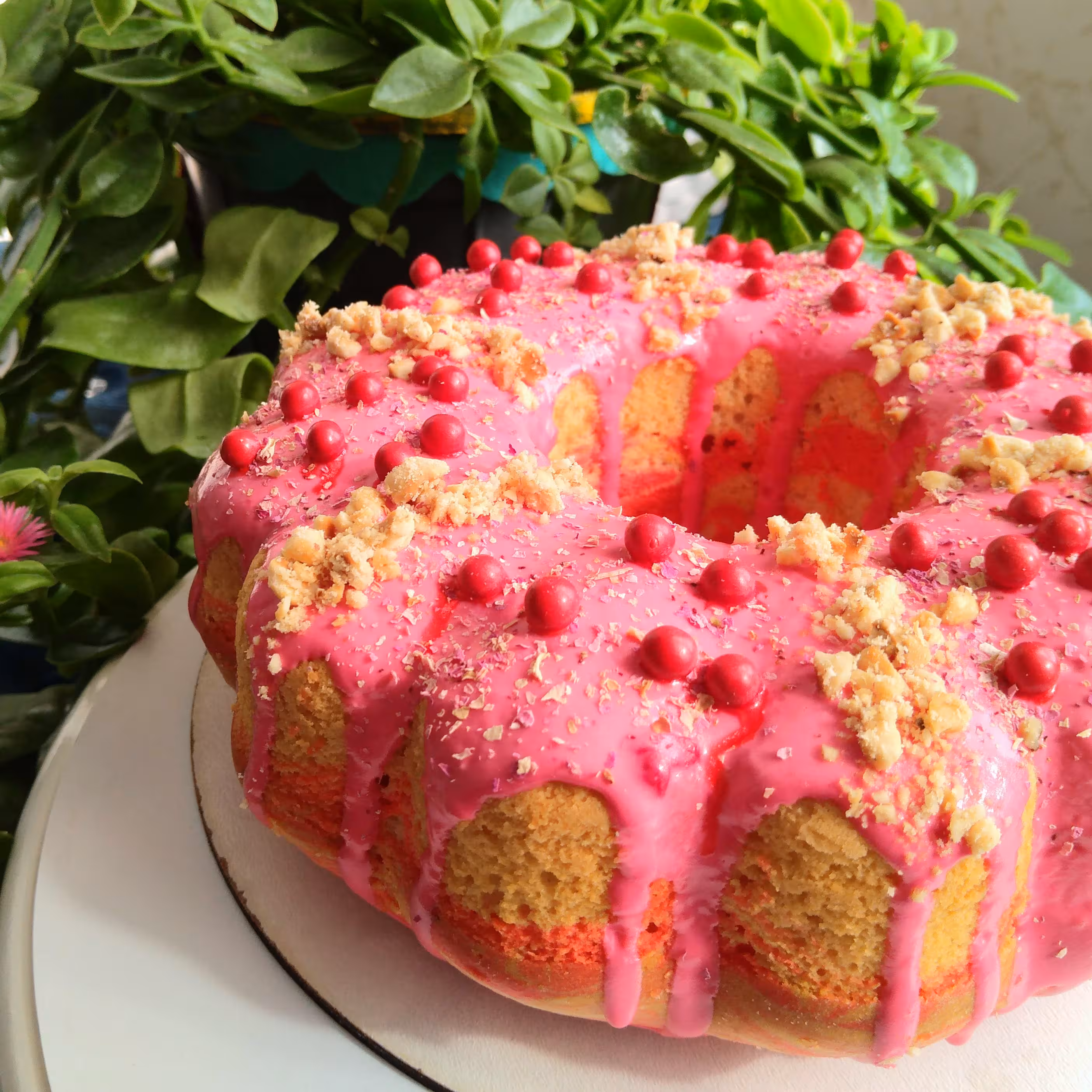 پودر کیک نارگیلی