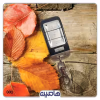 ریموت خام استیل میت ساده شرکتی