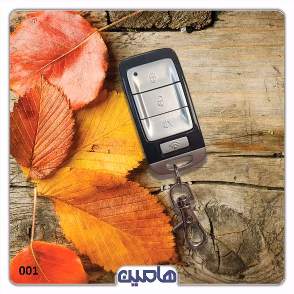 ریموت خام استیل میت ساده شرکتی