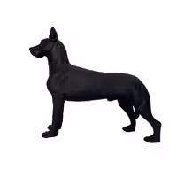 مجسمه مدل سگ گریت دین ایستاده