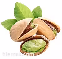 5 عکس پسته png بدون پس زمینه