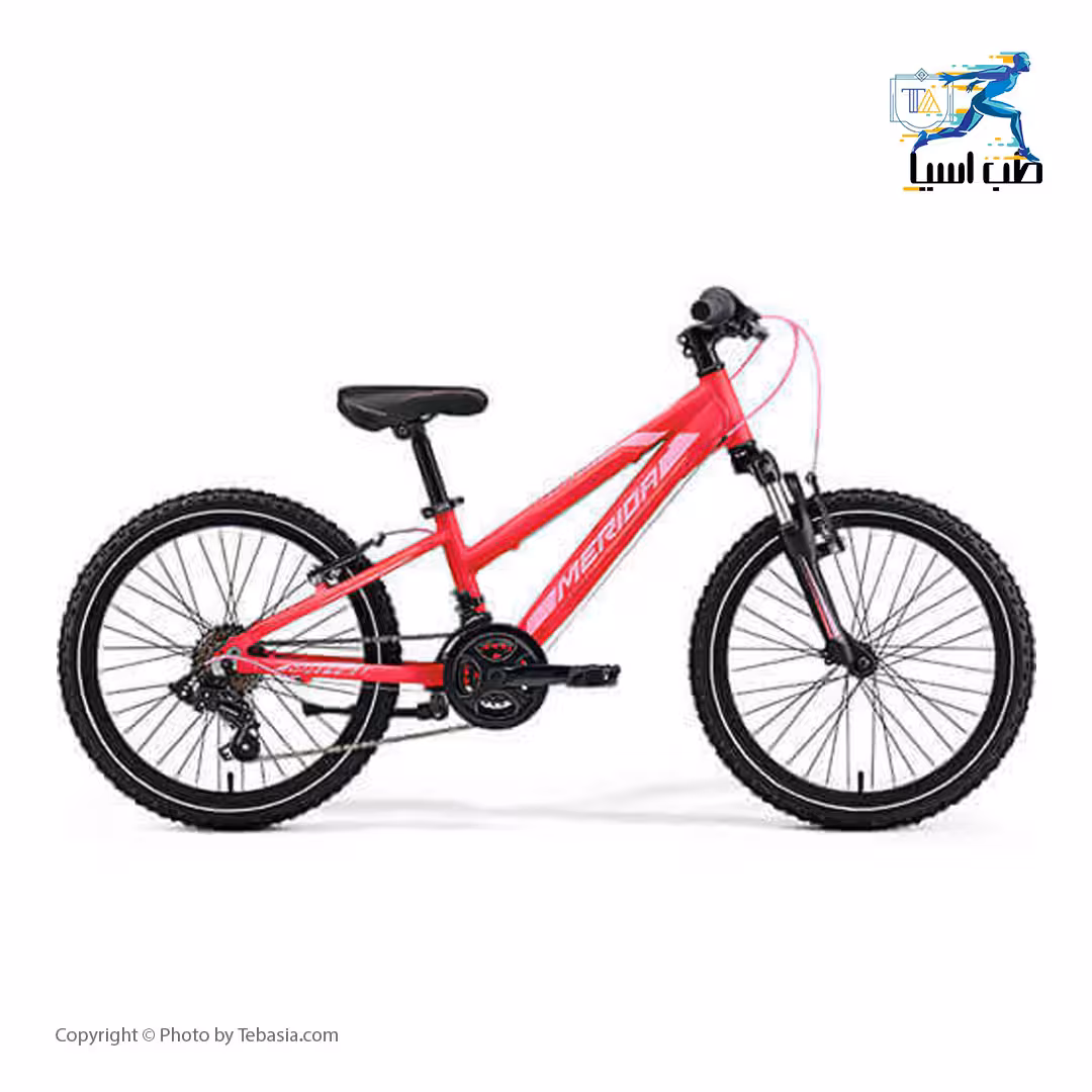 دوچرخه کودکانه مریدا مدل Matts J20 سایز 20 اینچ