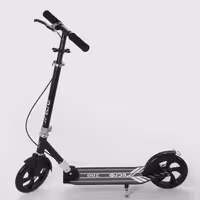 اسکوتر آلومینومی میکرو سایز 200