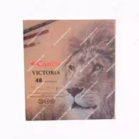 مداد رنگی 48 رنگ کنکو جعبه چوبی مدل VICTORIA