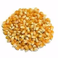 ذرت پفیلایی