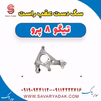 سگ دست عقب راست تیگو 8 پرو