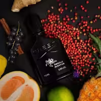 عطراونتوس آبسلو برند لوزی