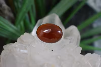 گارنت هسونیت