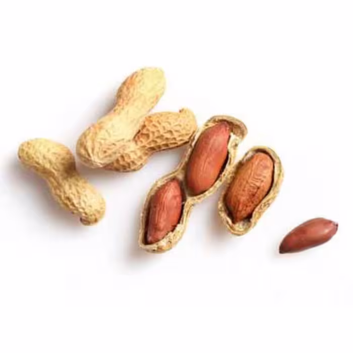 بذر بادام زمینی