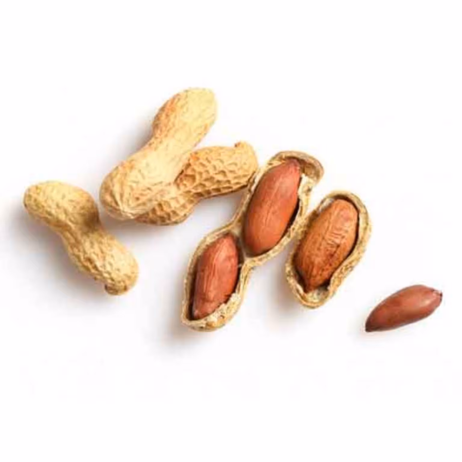 بذر بادام زمینی