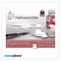 بلوک مقوا آبرنگ هانیموله اکسپرشن 24*30 کلدپرس 300 گرم 20 برگ (10628666)