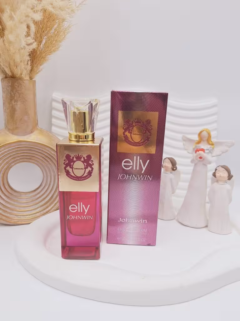 ادکلن 100 میل شرکتی ماندگاری 8 ساعته مدل elly JOHNWIN کد 2216