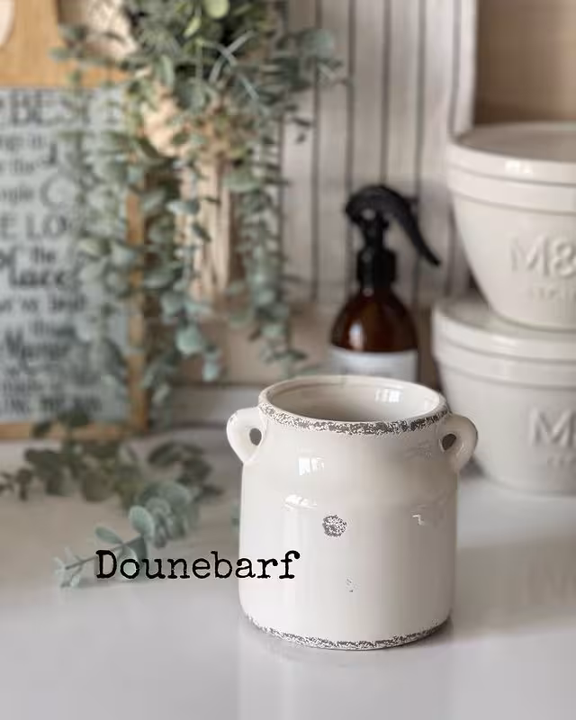 ظرف سرامیکی دودسته ( 10315 )