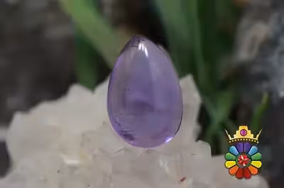 امتیست دامله(کاپوشی)