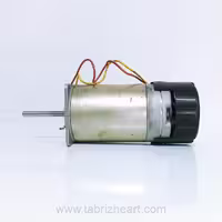 موتور بوهلر دی سی | Buhler Motor DC