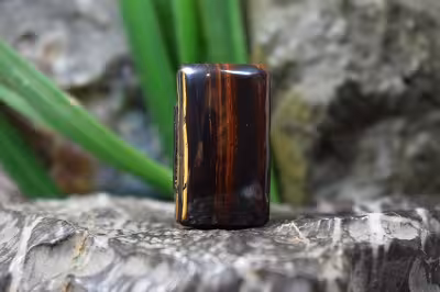 چشم ببر اهنی