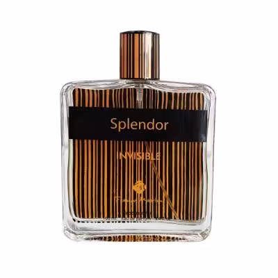 ادو پرفیوم مردانه دمونت پاریس مدل اسپلندور اینویزیبل Splendor INVISIBLE حجم 100 میل
