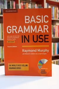 Basic Grammar In Use 4th