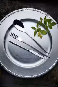 سرویس قاشق چنگال 151 پارچه رزنتال مدل 2828s