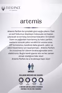 عطر آرتemis 50 میلی لیتری ادو پرفیوم با ماندگاری بالا (یونی‌سکس) - 10028