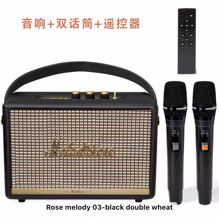 اسپیکر به همراه میکروفون MELODY M03