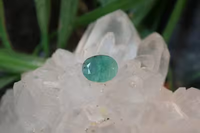 زمرد زامبیا